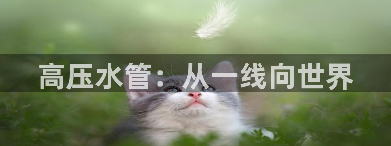 众东腾娱乐客服