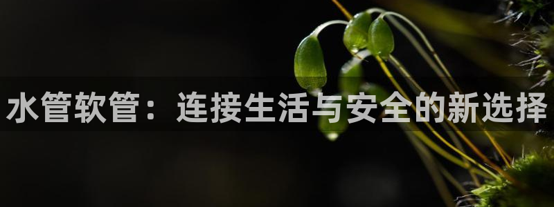 众腾娱乐平台下载