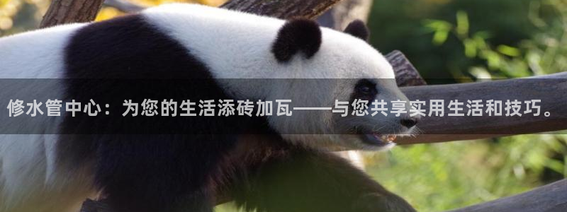 众腾娱乐登入探索无限空间