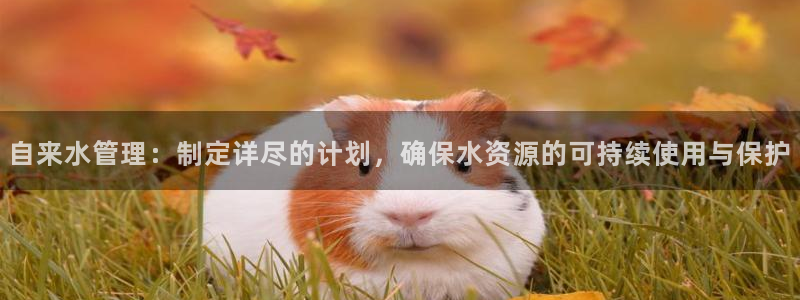 众腾娱乐平台