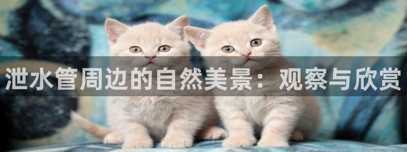 腾众娱乐的彩票靠谱吗