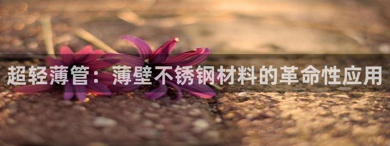 楚雄众腾娱乐