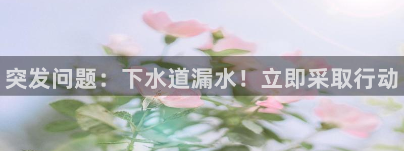 腾耀娱乐29999出众