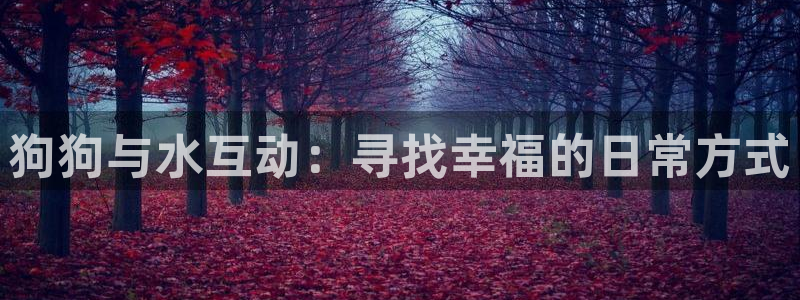 众腾娱乐发7O777