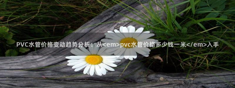 众腾娱乐公司简介