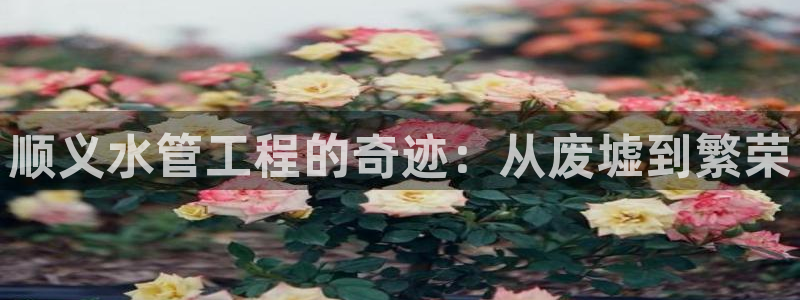 楚雄众腾娱乐