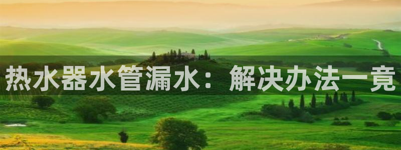 众腾娱乐公司简介