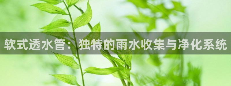 众腾娱乐APP下载