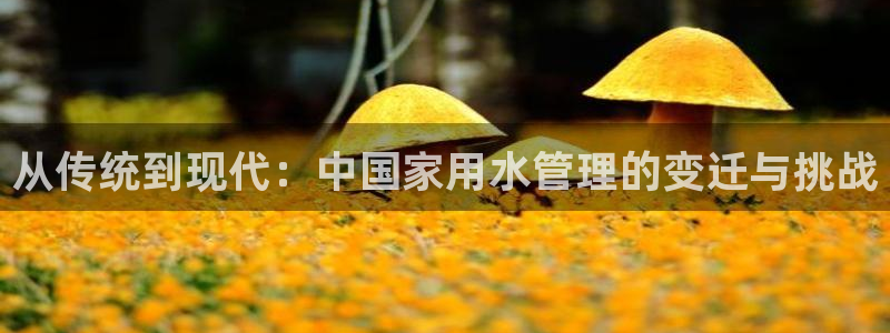 岳阳众腾ktv娱乐