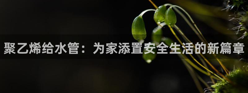 众腾娱乐APP下载