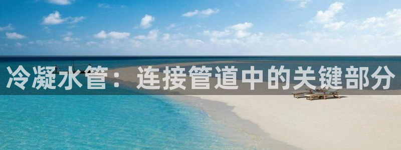 众腾娱乐平台下载