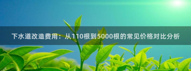 楚雄众腾娱乐