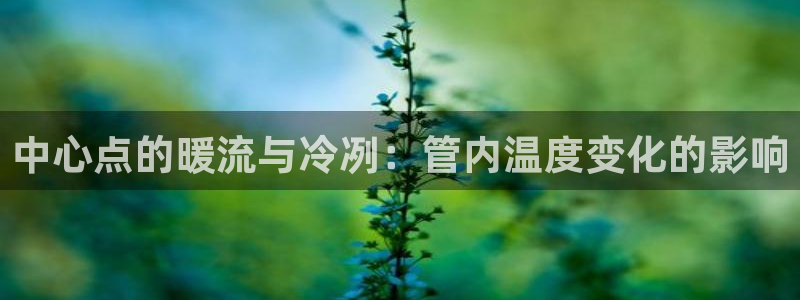 腾众娱乐是个啥