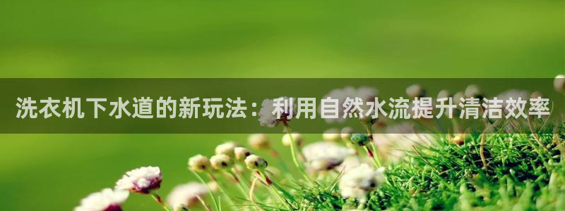 彝族自治州众腾娱乐