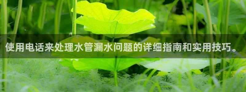 腾耀娱乐众推46996