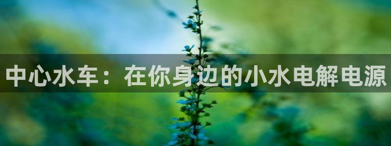 楚雄众腾娱乐