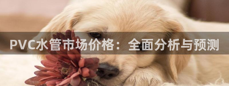 内蒙古众腾娱乐文化法人