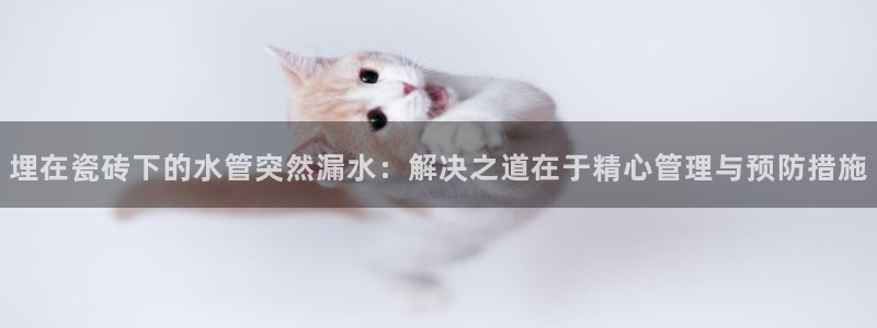 众腾娱乐博彩