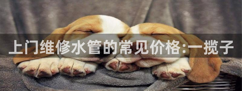 云南众腾娱乐