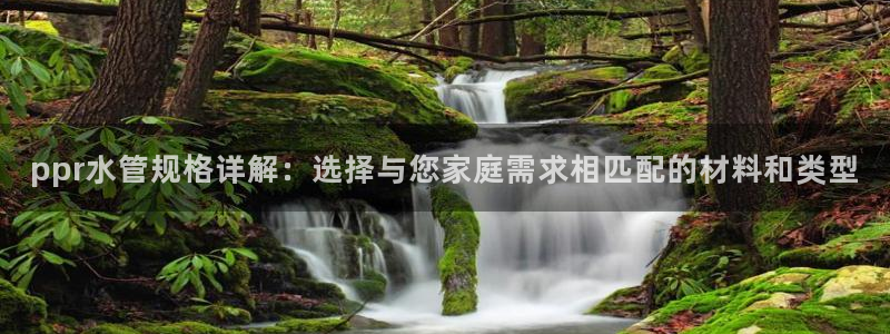 腾众娱乐彩票