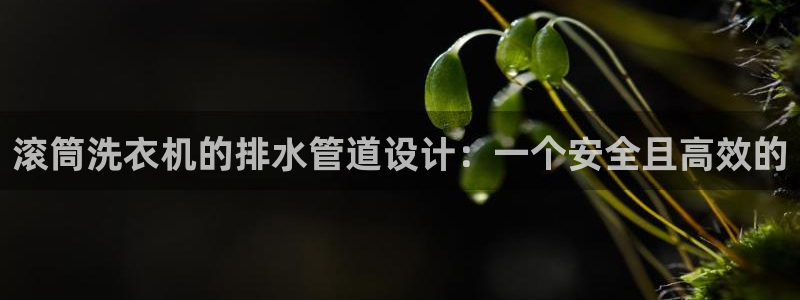 腾耀娱乐众推55312