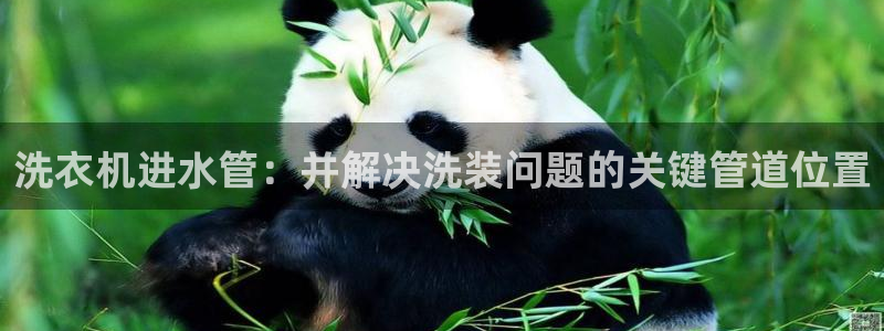 内蒙古众腾娱乐文化法人