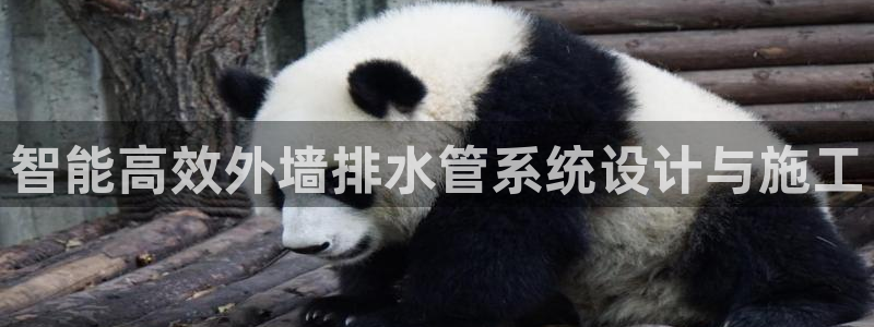 腾耀娱乐众推55312