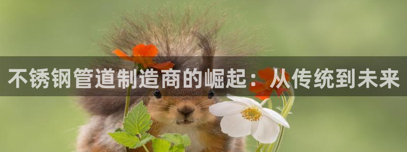 众腾娱乐公司简介