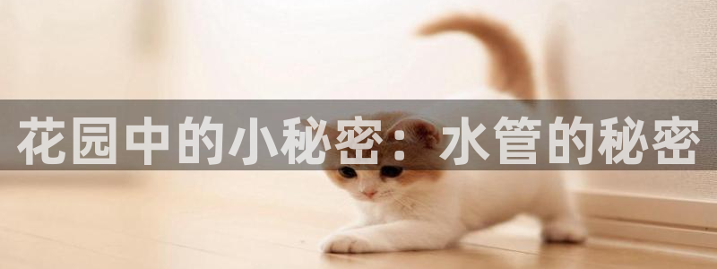 众腾娱乐蚀 7O935