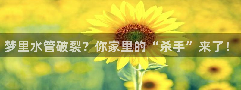 腾耀娱乐众推99840