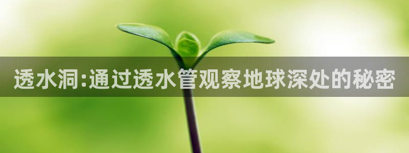 腾耀娱乐29999出众
