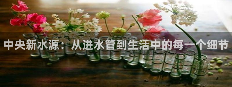 腾众娱乐是个啥