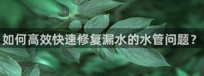 众腾娱乐公司简介