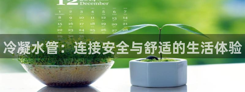 众腾娱乐平台