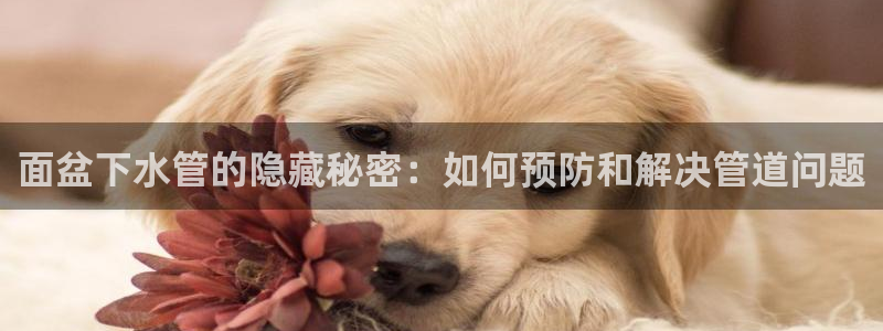 众腾娱乐梦幻演艺店