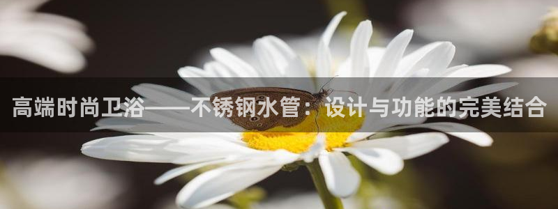 岳阳众腾ktv娱乐