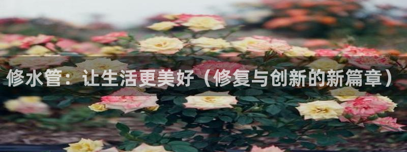 众腾娱乐得7O777