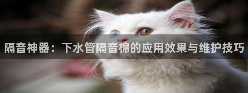 腾耀娱乐众推55312