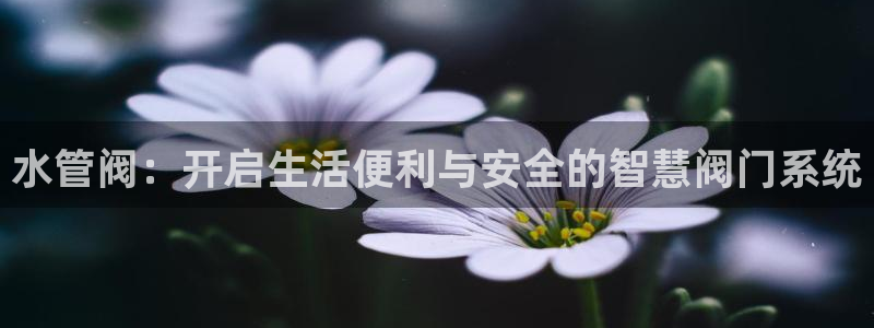众腾娱乐app