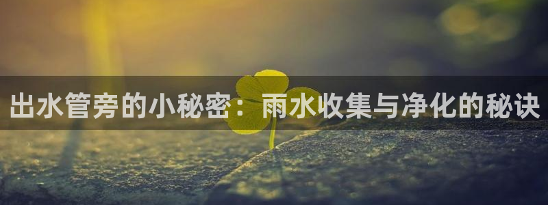 众腾娱乐平台