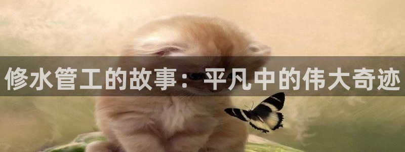 云南众腾娱乐