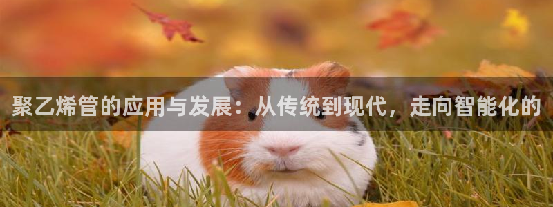 众腾娱乐总代理