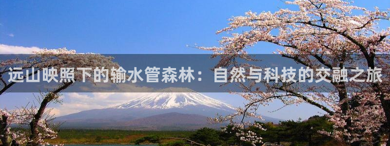 腾耀娱乐众推55312