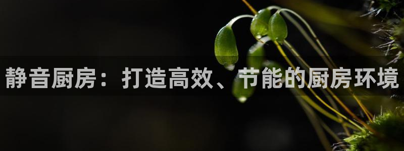 众腾娱乐扣款是正规的吗