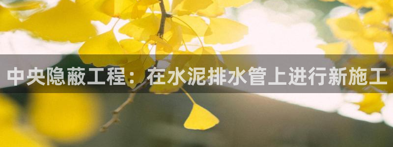 众东腾娱乐客服