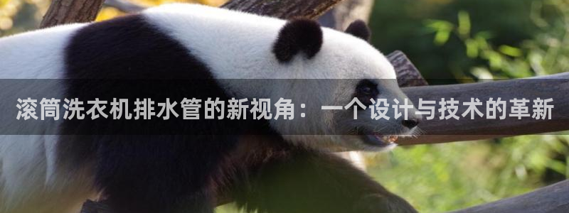 众腾娱乐文化怎么样