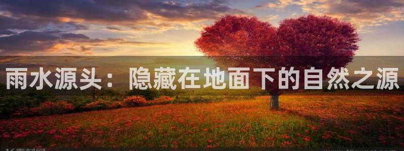 众腾娱乐官方客服电话