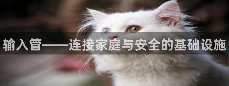 腾讯旗下的腾众娱乐