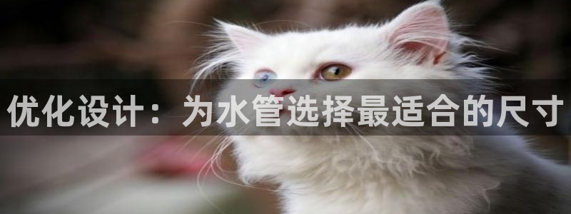 楚雄众腾娱乐是干什么的