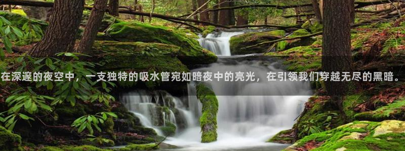 众腾娱乐平台群7O777